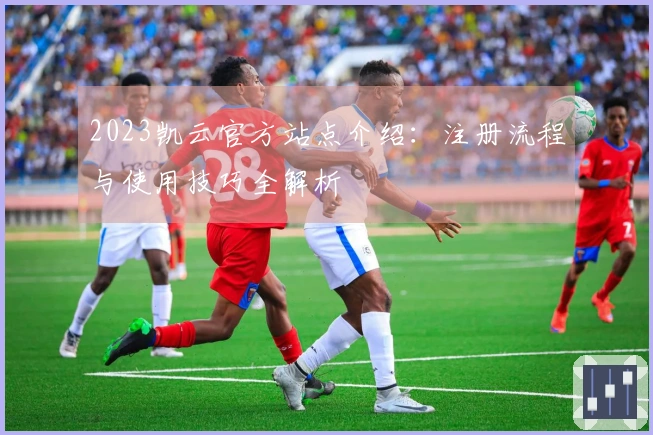 2023凯云官方站点介绍：注册流程与使用技巧全解析