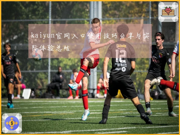kaiyun官网入口使用技巧分享与实际体验总结